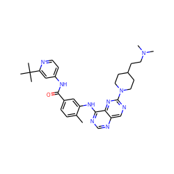 Cc1ccc(C(=O)Nc2ccnc(C(C)(C)C)c2)cc1Nc1ncnc2cnc(N3CCC(CCN(C)C)CC3)nc12 ZINC000148377327