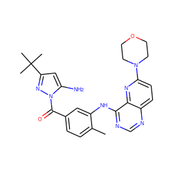Cc1ccc(C(=O)n2nc(C(C)(C)C)cc2N)cc1Nc1ncnc2ccc(N3CCOCC3)nc12 ZINC000096175720