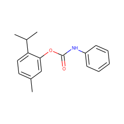 Cc1ccc(C(C)C)c(OC(=O)Nc2ccccc2)c1 ZINC000001672198