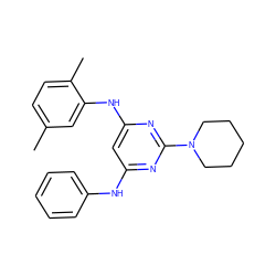 Cc1ccc(C)c(Nc2cc(Nc3ccccc3)nc(N3CCCCC3)n2)c1 ZINC000073196036