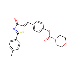 Cc1ccc(C2=NC(=O)/C(=C/c3ccc(OC(=O)N4CCOCC4)cc3)S2)cc1 ZINC000299840631