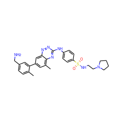 Cc1ccc(CN)cc1-c1cc(C)c2nc(Nc3ccc(S(=O)(=O)NCCN4CCCC4)cc3)nnc2c1 ZINC000028702777