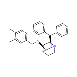 Cc1ccc(CO[C@@H]2C3CCN(CC3)[C@@H]2C(c2ccccc2)c2ccccc2)cc1C ZINC000013744518