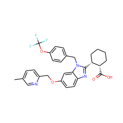 Cc1ccc(COc2ccc3nc([C@@H]4CCCC[C@@H]4C(=O)O)n(Cc4ccc(OC(F)(F)F)cc4)c3c2)nc1 ZINC000218198007