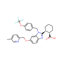 Cc1ccc(COc2ccc3nc([C@H]4CCCC[C@H]4C(=O)O)n(Cc4ccc(OC(F)(F)F)cc4)c3c2)nc1 ZINC000218197945