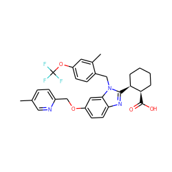 Cc1ccc(COc2ccc3nc([C@H]4CCCC[C@H]4C(=O)O)n(Cc4ccc(OC(F)(F)F)cc4C)c3c2)nc1 ZINC000218037960