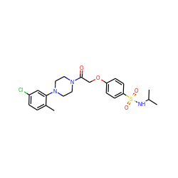 Cc1ccc(Cl)cc1N1CCN(C(=O)COc2ccc(S(=O)(=O)NC(C)C)cc2)CC1 ZINC000001119101