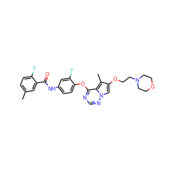 Cc1ccc(F)c(C(=O)Nc2ccc(Oc3ncnn4cc(OCCN5CCOCC5)c(C)c34)c(F)c2)c1 ZINC000029040582