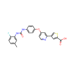 Cc1ccc(F)c(NC(=O)Nc2ccc(Oc3ccnc(-c4csc(C(=O)O)c4)c3)cc2)c1 ZINC000116235703