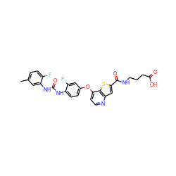 Cc1ccc(F)c(NC(=O)Nc2ccc(Oc3ccnc4cc(C(=O)NCCCC(=O)O)sc34)cc2F)c1 ZINC000149507273