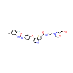 Cc1ccc(F)c(NC(=O)Nc2ccc(Oc3ccnc4cc(C(=O)NCCCN5CCO[C@H](CO)C5)sc34)cc2)c1 ZINC000220006091