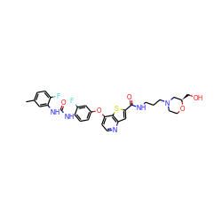 Cc1ccc(F)c(NC(=O)Nc2ccc(Oc3ccnc4cc(C(=O)NCCCN5CCO[C@H](CO)C5)sc34)cc2F)c1 ZINC000220032410