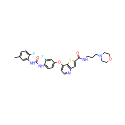 Cc1ccc(F)c(NC(=O)Nc2ccc(Oc3ccnc4cc(C(=O)NCCCN5CCOCC5)sc34)cc2F)c1 ZINC000220047776