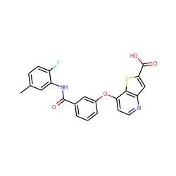 Cc1ccc(F)c(NC(=O)c2cccc(Oc3ccnc4cc(C(=O)O)sc34)c2)c1 ZINC000219991307