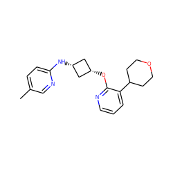 Cc1ccc(N[C@H]2C[C@@H](Oc3ncccc3C3CCOCC3)C2)nc1 ZINC000145042890