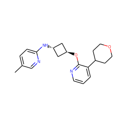 Cc1ccc(N[C@H]2C[C@H](Oc3ncccc3C3CCOCC3)C2)nc1 ZINC000146902735