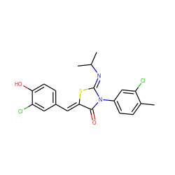 Cc1ccc(N2C(=O)/C(=C/c3ccc(O)c(Cl)c3)S/C2=N\C(C)C)cc1Cl ZINC000049089573