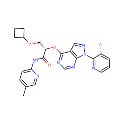 Cc1ccc(NC(=O)[C@H](COC2CCC2)Oc2ncnc3c2cnn3-c2ncccc2Cl)nc1 ZINC000114684770