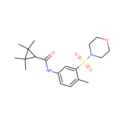 Cc1ccc(NC(=O)C2C(C)(C)C2(C)C)cc1S(=O)(=O)N1CCOCC1 ZINC000040897914