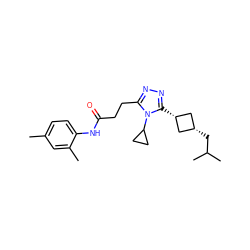 Cc1ccc(NC(=O)CCc2nnc([C@H]3C[C@@H](CC(C)C)C3)n2C2CC2)c(C)c1 ZINC000653723310