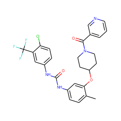 Cc1ccc(NC(=O)Nc2ccc(Cl)c(C(F)(F)F)c2)cc1OC1CCN(C(=O)c2cccnc2)CC1 ZINC000653825926