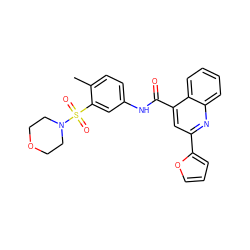 Cc1ccc(NC(=O)c2cc(-c3ccco3)nc3ccccc23)cc1S(=O)(=O)N1CCOCC1 ZINC000009689803