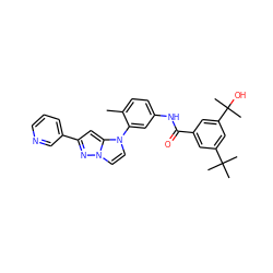 Cc1ccc(NC(=O)c2cc(C(C)(C)C)cc(C(C)(C)O)c2)cc1-n1ccn2nc(-c3cccnc3)cc12 ZINC000224232649