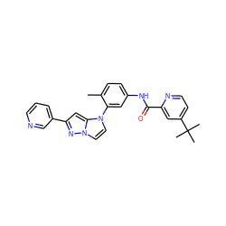 Cc1ccc(NC(=O)c2cc(C(C)(C)C)ccn2)cc1-n1ccn2nc(-c3cccnc3)cc12 ZINC000224207874