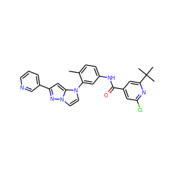 Cc1ccc(NC(=O)c2cc(Cl)nc(C(C)(C)C)c2)cc1-n1ccn2nc(-c3cccnc3)cc12 ZINC000224216169