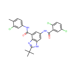 Cc1ccc(NC(=O)c2cc(NC(=O)c3cc(Cl)ccc3Cl)cc3[nH]c(C(C)(C)C)nc23)cc1Cl ZINC000218686101