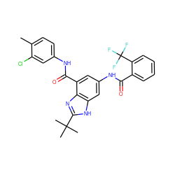 Cc1ccc(NC(=O)c2cc(NC(=O)c3ccccc3C(F)(F)F)cc3[nH]c(C(C)(C)C)nc23)cc1Cl ZINC000218685776