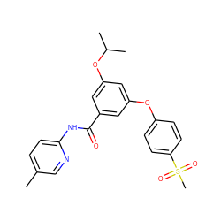 Cc1ccc(NC(=O)c2cc(Oc3ccc(S(C)(=O)=O)cc3)cc(OC(C)C)c2)nc1 ZINC000096273770