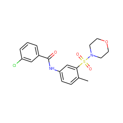 Cc1ccc(NC(=O)c2cccc(Cl)c2)cc1S(=O)(=O)N1CCOCC1 ZINC000012678692