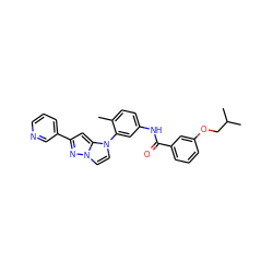 Cc1ccc(NC(=O)c2cccc(OCC(C)C)c2)cc1-n1ccn2nc(-c3cccnc3)cc12 ZINC000224192929