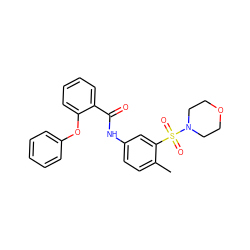 Cc1ccc(NC(=O)c2ccccc2Oc2ccccc2)cc1S(=O)(=O)N1CCOCC1 ZINC000012549675