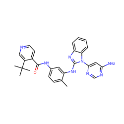 Cc1ccc(NC(=O)c2ccncc2C(C)(C)C)cc1Nc1nc2ccccc2n1-c1cc(N)ncn1 ZINC000049089199