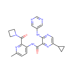 Cc1ccc(NC(=O)c2nc(C3CC3)cnc2Nc2cncnc2)c(C(=O)N2CCC2)n1 ZINC000169701890