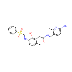 Cc1ccc(NCS(=O)(=O)c2ccccc2)c(O)c1CC(=O)NCc1ccc(N)nc1C ZINC000028570197