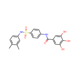 Cc1ccc(NS(=O)(=O)c2ccc(NC(=O)c3cc(O)c(O)c(O)c3)cc2)cc1C ZINC000043024693