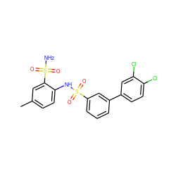 Cc1ccc(NS(=O)(=O)c2cccc(-c3ccc(Cl)c(Cl)c3)c2)c(S(N)(=O)=O)c1 ZINC000146110090