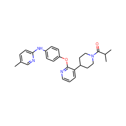 Cc1ccc(Nc2ccc(Oc3ncccc3C3CCN(C(=O)C(C)C)CC3)cc2)nc1 ZINC000147531384