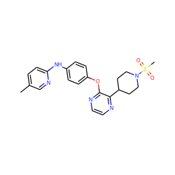 Cc1ccc(Nc2ccc(Oc3nccnc3C3CCN(S(C)(=O)=O)CC3)cc2)nc1 ZINC000145865079