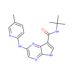 Cc1ccc(Nc2cnc3[nH]cc(C(=O)NC(C)(C)C)c3n2)nc1 ZINC000145051284