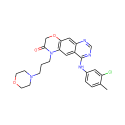 Cc1ccc(Nc2ncnc3cc4c(cc23)N(CCCN2CCOCC2)C(=O)CO4)cc1Cl ZINC000653742663