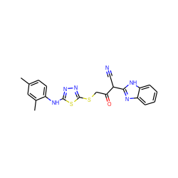 Cc1ccc(Nc2nnc(SCC(=O)C(C#N)c3nc4ccccc4[nH]3)s2)c(C)c1 ZINC000101488071