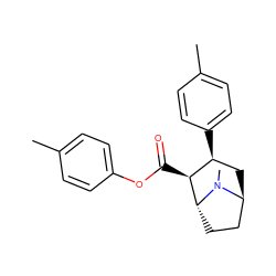 Cc1ccc(OC(=O)[C@H]2[C@@H](c3ccc(C)cc3)C[C@H]3CC[C@H]2N3C)cc1 ZINC000194851402