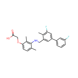 Cc1ccc(OCC(=O)O)c(C)c1NCc1cc(-c2cccc(F)c2)cc(F)c1C ZINC000219106166