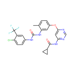 Cc1ccc(Oc2cc(NC(=O)C3CC3)ncn2)cc1NC(=O)Nc1ccc(Cl)c(C(F)(F)F)c1 ZINC001772571362