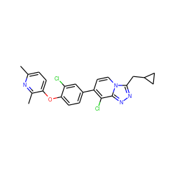 Cc1ccc(Oc2ccc(-c3ccn4c(CC5CC5)nnc4c3Cl)cc2Cl)c(C)n1 ZINC000143572831