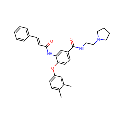 Cc1ccc(Oc2ccc(C(=O)NCCN3CCCC3)cc2NC(=O)/C=C/c2ccccc2)cc1C ZINC000036351799